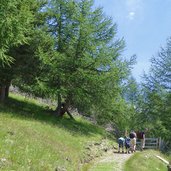 weg nr zum dolomitenblick