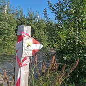 wegweiser keschtnweg in obstwiese