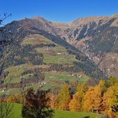 herbstwald blick richtung vernuer