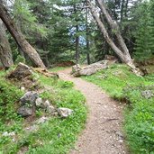 wald abstieg zu oberholz