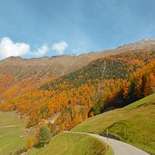 vinschger hoehenweg bei st martin im kofel herbst