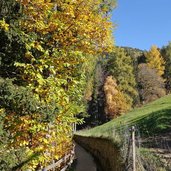 schenner waalweg oberhalb von schenna herbst