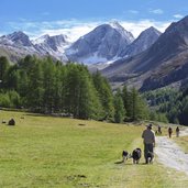 Meraner Hoehenweg Nord Hohe Weisse Talschluss Pfossental