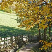 schenner waalweg bei st georgen herbst