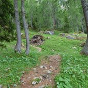 weg nr a durch wald latemar