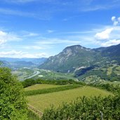 buchholz weinberge und blick auf suedtiroler unterland