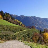 schenner waalweg oberhalb von st georgen herbst