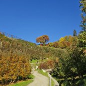 schenner waalweg oberhalb von st georgen herbst