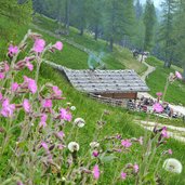 proveis untere kessel alm