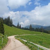 weg zum hofmahdjoch und laugenspitze