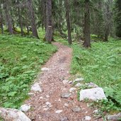 weg vom labyrinthsteig zum mitterleger