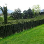 kraenzelhof garten labyrinth