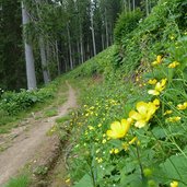 weg nr mitterleger karerpass