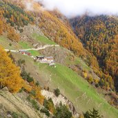 egghof herbstwald nebel bei st martin im kofel