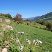 keschtnweg bei antlas