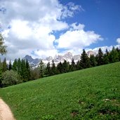 rosengarten massiv ab obereggen