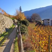 naturns vogeltenn promenade herbst