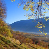 herbst aussicht vinschgau bei naturns richtung noerderberg meran