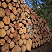 obereggen holz mit pefc umwelt guetesiegel gefaellte baeume