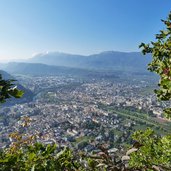 blick auf bozen ab kastanienweg