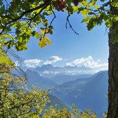 blick auf rosengarten kastanienweg