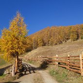 praemajur herbst weg nr