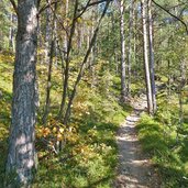 waldweg kastanienweg