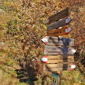 wallburgweg naturns herbst wegweiser