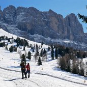 weg zur messnerjoch huette