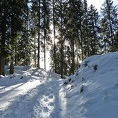 forstweg laugenalm winter