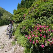 weg bei plankenalm mountain bike