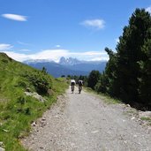 weg bei plankenalm mountain biker