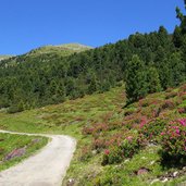 weg bei plankenalm fr