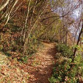 wanderweg vilpian moelten