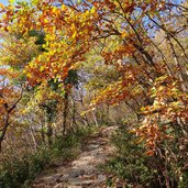 herbst wanderweg vilpian moelten