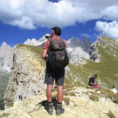 teilpanorama stevia