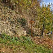 wegweiser planatsch moelten