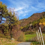 wiesen bei planatsch oberhalb vilpian