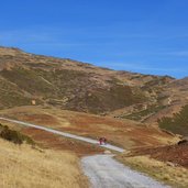 herbstlandschaft watles baumgrenze weg zu pfaffenseen