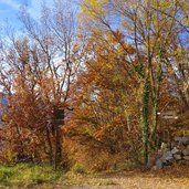 wegweiser bei scholhoefe oberhalb vilpian