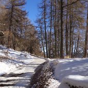 weg nr vinschger hoehenweg bei st martin im kofel winter