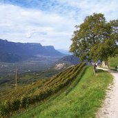 montan spazierweg alte bahntrasse der fleimstalbahn herbst