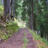 obere erzstrasse panorama waldweg ridnauntal