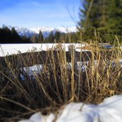 Leadneralm