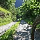 mtb auf forststrasse zu simile mahd alm bei niederflans