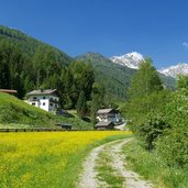 haeuser bei muehlwald fruehling