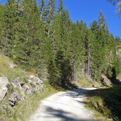 toblacher hoehenweg silvestertal herbst