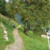 obere erzstrasse panorama waldweg ridnauntal