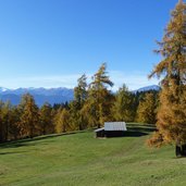 salten laerchenwiesen herbst