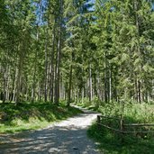 talweg zwischen muehlwald und lappach